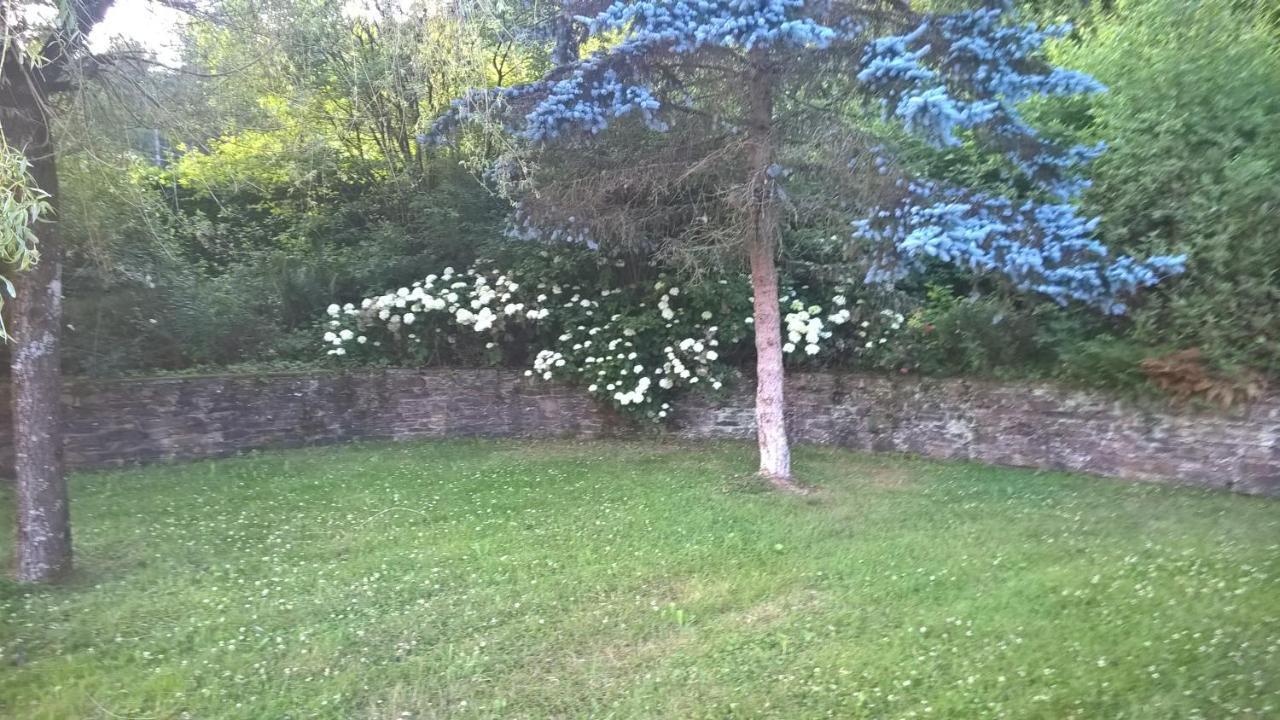 B&B Le Nid Doux  Vresse-sur-Semois Esterno foto